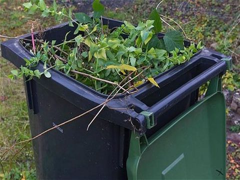 Garden Waste Removal